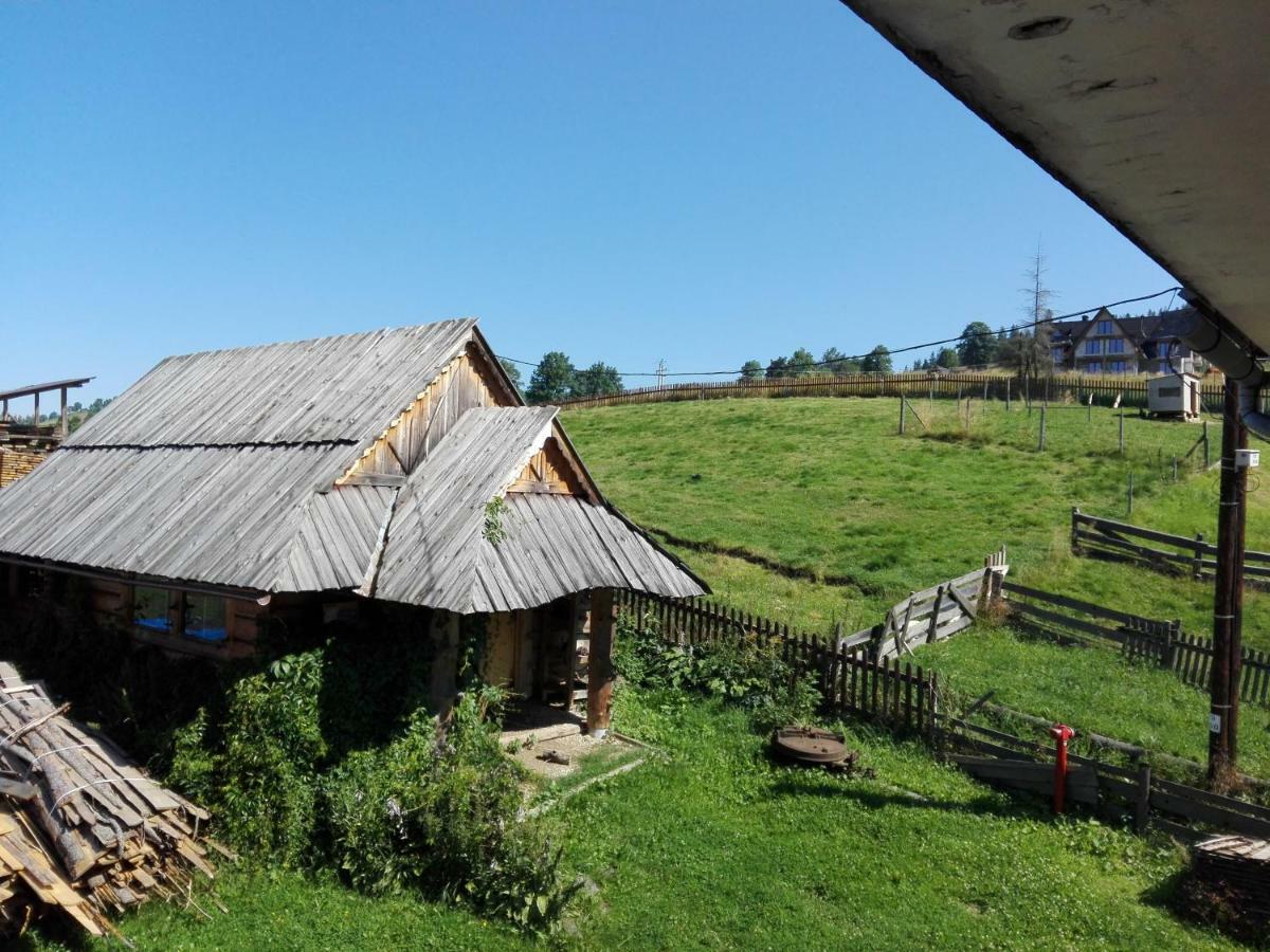 Pokoje Goscinne U Elzbiety Małe Ciche Exterior photo